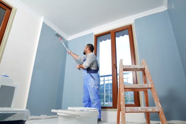 Best Emergency Mold Remediation  in Pacific, WA
