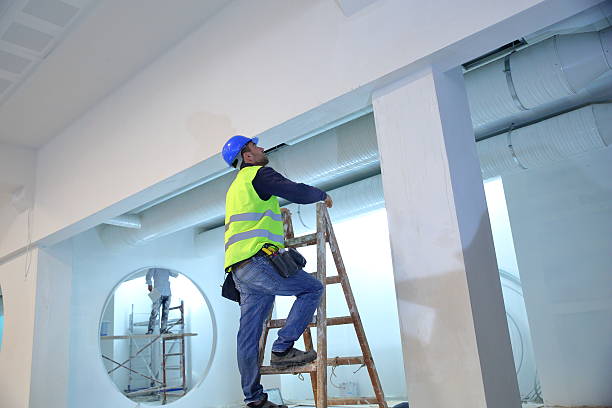 Mold Odor Removal Services in Pacific, WA